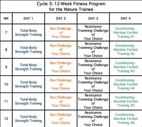 12 Week Fitness Program For The Mature Trainee ~ Tips For Gym