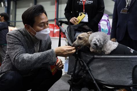 與 '철새' 안철수 '사퇴' 오세훈 단일화로 정치 희화화. 오세훈-안철수 서울시장 후보, 야권단일화 협상 14일 재개