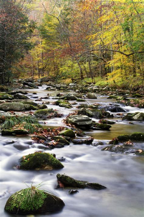 A Flowing Mountain Stream In Smoky Mountain National Park Stock Image