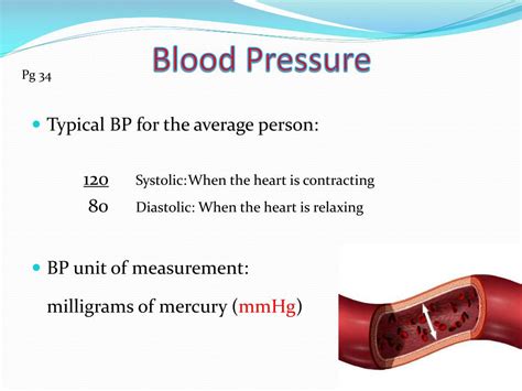 Ppt Blood Pressure Powerpoint Presentation Free Download Id6015822