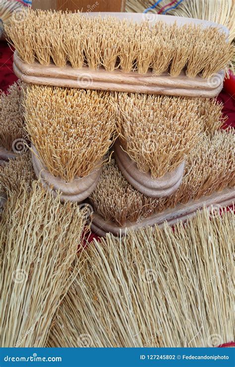 Brushes Of Sorghum Also Called Broom Corn Stock Photo Image Of