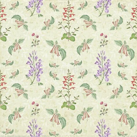 Vintage Old Floral Botany Repeat Pattern Paper Wallpaper Stock
