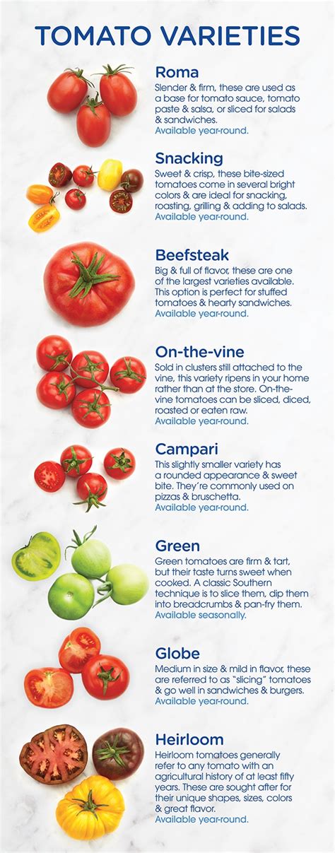 A Guide To The Best Types Of Tomatoes Metro Market