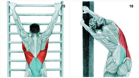 36 Pictures To See Which Muscle Youre Stretching Lifehack