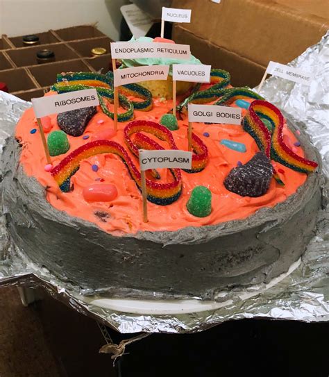 But the function remains the same. Animal Cell Cake — The Modern Teacher