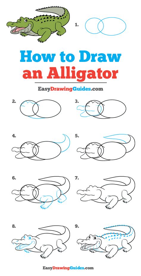 Https://tommynaija.com/draw/how To Draw A Aligator Print Out