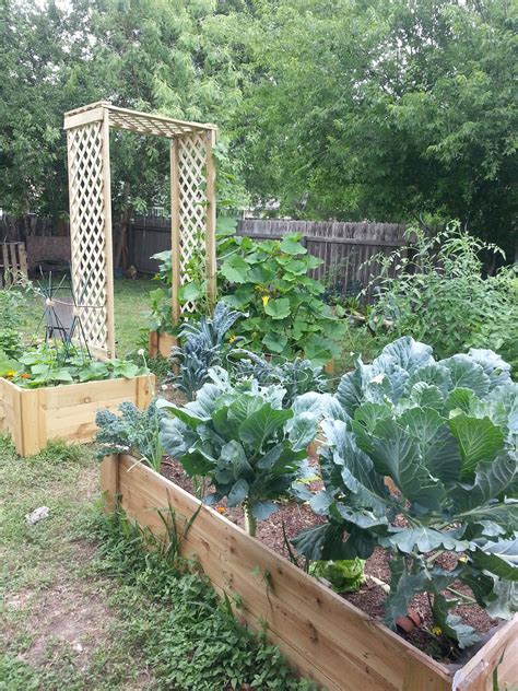 20 Edible Garden Design And Layouts Ideas You Gonna Love Sharonsable