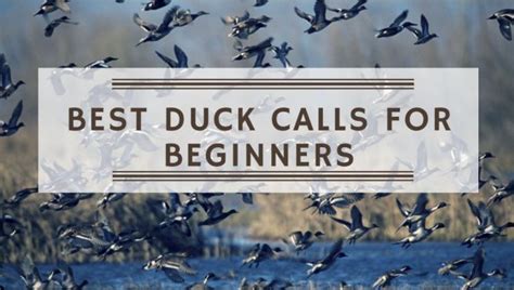 Best Duck Calls For Beginners June 2022 Outdoorstack