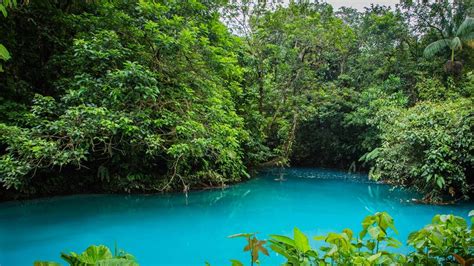 Rio Celeste National Park Guided Hike Tour From Arenal Natives Way