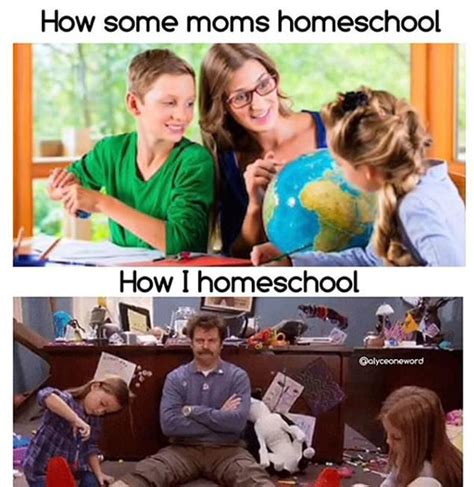 60 Absolutely Hilarious Homeschool Memes Jokes And Cartoons For Moms
