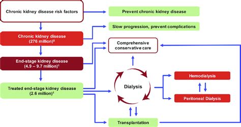 End Stage Kidney Disease Pathways Download Scientific Diagram