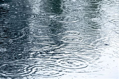 The Effect Of Rainwater On Your Backyard Pool