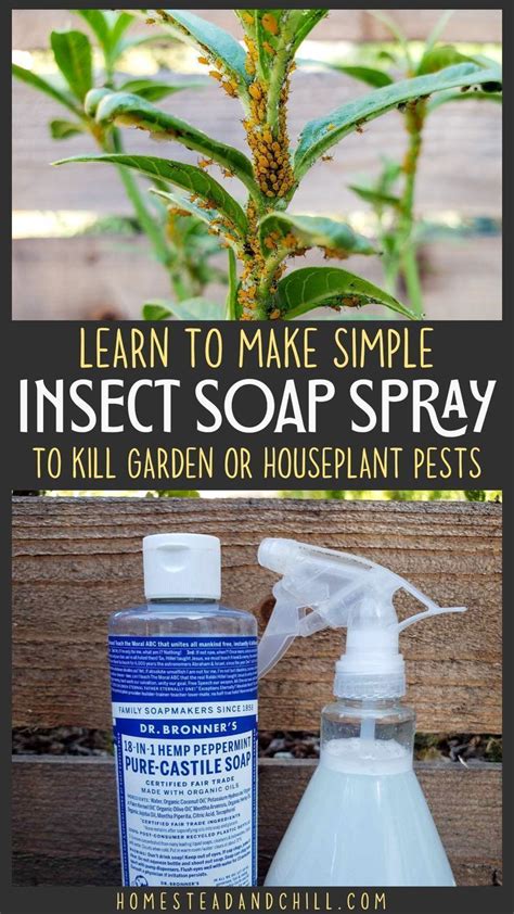Homemade Organic Garden Soap Spray Recipe Kill Aphids Other Pest