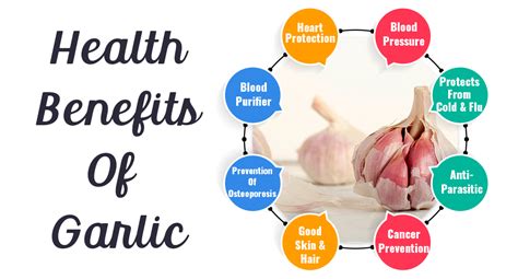 Health Benefits Of Garlic Local Verandah