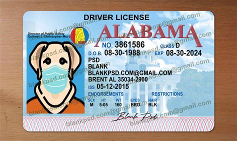 Alabama Drivers License Template V1 Blank Psd