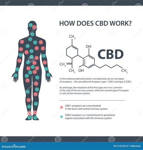 how does cbd works white information banner with cannabidiol chemical formula and