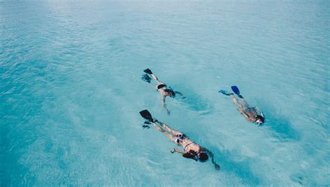 Snorkeling In Maldives Samudra Maldives