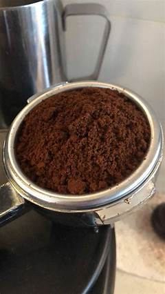 Ceti Lacera Warframe