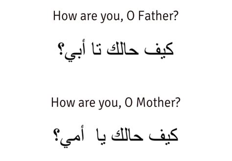 Arabic Phrases | Arabic phrases, English phrases, Arabic sentences