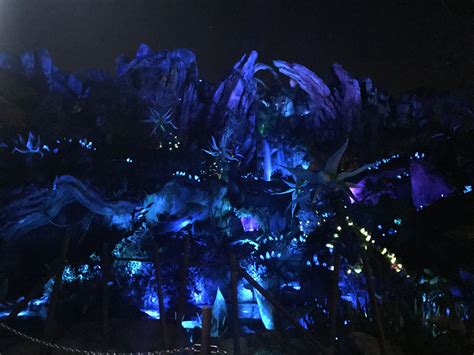 5 Things You Must Do At Pandora The World Of Avatar