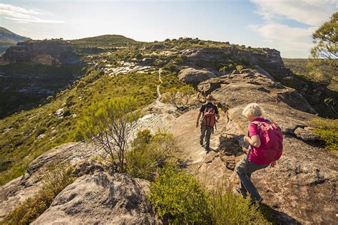 The Best Bushwalking And Trail Running Routes In Australia Lonely Planet