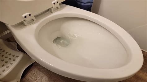 Why Is My Toilet Gurgling Common Drain Problems Causing Toilet Noise