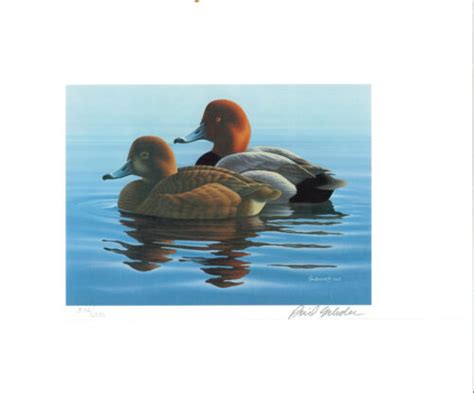 Minnesota 6 1982 State Duck Stamp Print Redheads By Phil Scholer List