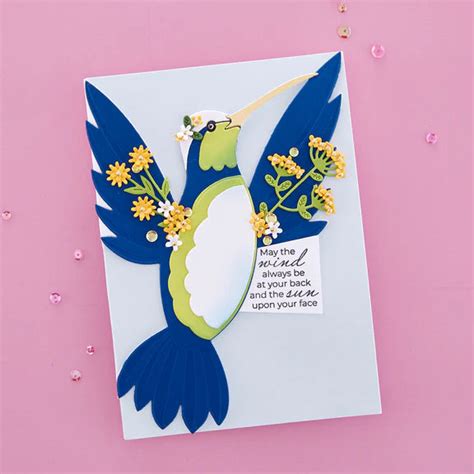 Spellbinders Etched Dies By Bibi Cameron Hummingbird Card Creator S7