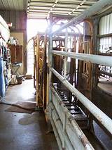 Pictures of Cattle Working Facilities For Sale