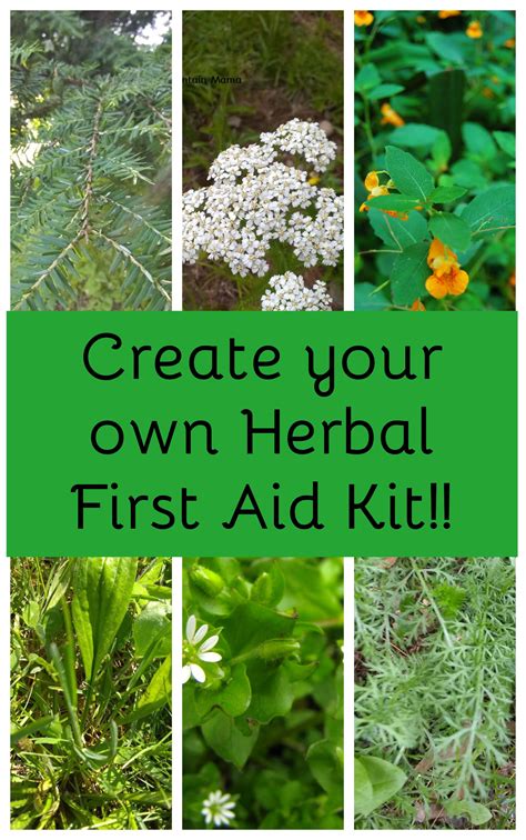 Create Your Own Herbal First Aid Kit Herbalism Flowers In Jars Tea