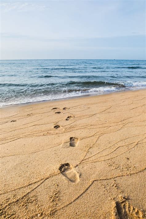 Footprints In Wet Sand Beach Stock Photo Image Of Peaceful