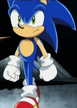Cosmo's secret codename is white seed. Sonic the Hedgehog (Sonic X) | Young cash09 Wiki | Fandom