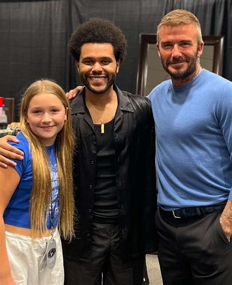 David Beckham Jokes Hes Embarrassing At Weeknd Concert With Harper