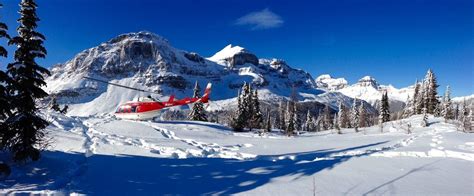 Private Helicopter Sightseeing Tour Discover Banff Tours