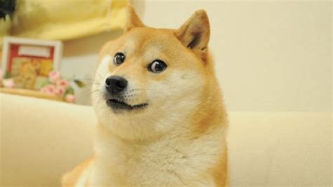 Doge Meme That Inspired Dogecoin To Be Auctioned As Nft For Charity