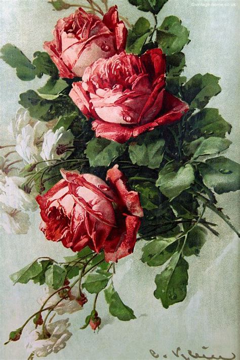 Vintage Home Splendid Klein Victorian Roses Print 1 Art Floral