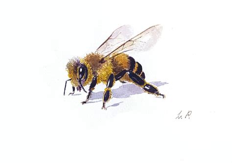 Honey Bee Painting Bee Original Art Honey Bee Original Etsy