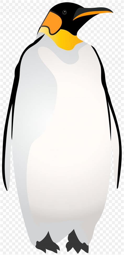 King Penguin Clipart