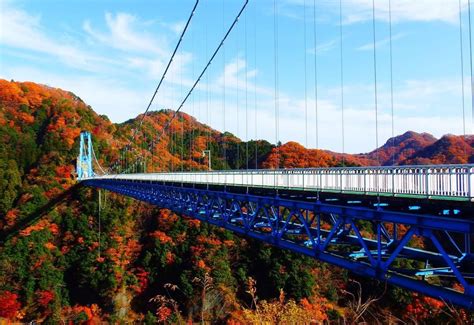 5 Perfect Day Trip Spots To Visit In Ibaraki Prefecture This Fall