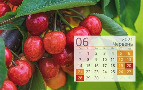Предпраздничные дни (с сокращенным рабочим днем на 1 час). Выходные в июне 2021 в Украине - календарь праздничных ...