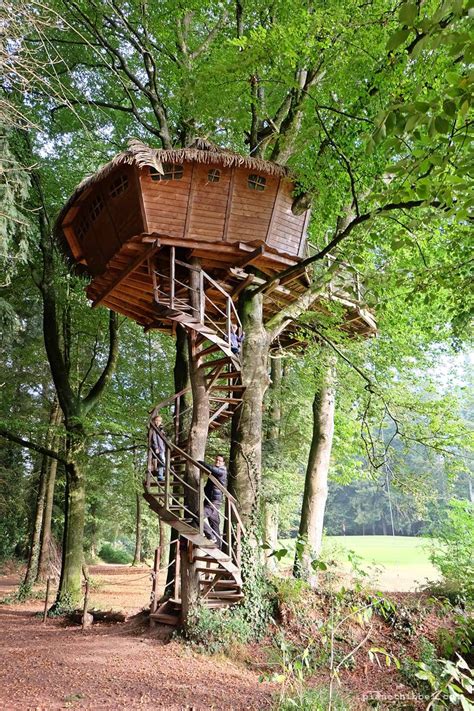 Übernachten Im Treehouse Die Coolsten Baumhäuser In Deutschland Und