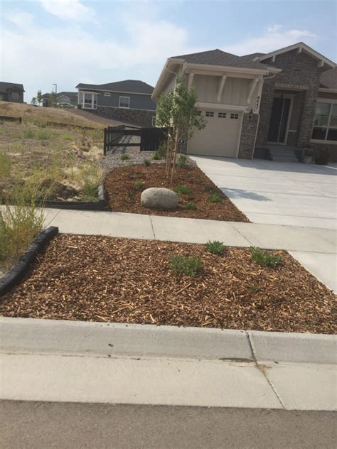 Front Yard Xeriscape Waterwise Yards