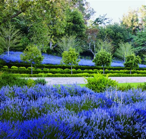 7 Bay Area Gardens Are Featured In Designers Latest Book
