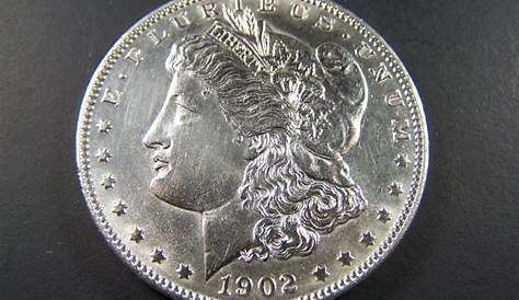 How Much is a 1902 Morgan Silver Dollar Worth? (Price Chart)