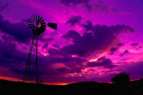 Purple Sunrise Walking In Nature Purple Sky Pictures