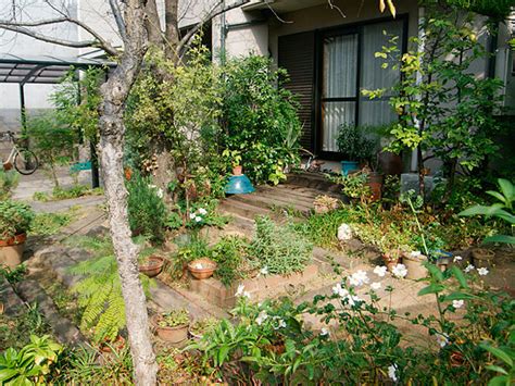 みんなが集う癒しの庭空間 1 ビフォーアフター施工例写真 株式会社桑和｜タカショー リフォームガーデンクラブ