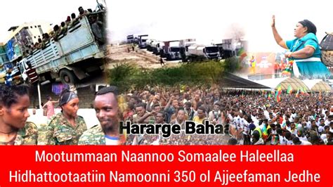 Oduu Voa Afaan Oromoo Jul 272021 Youtube