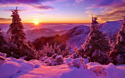 Winter Himmel Sonnenuntergang Berge Wald Bäume Fichte Schnee