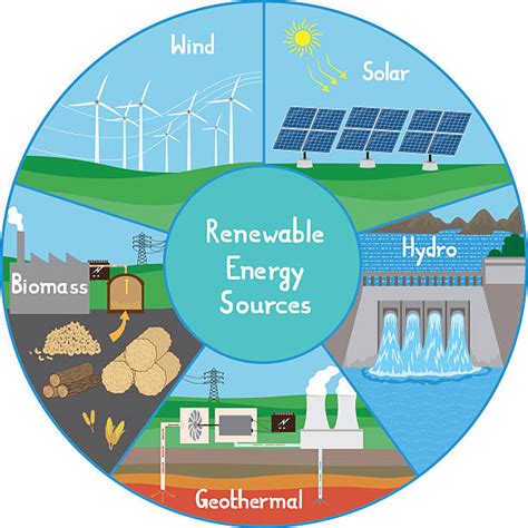 Biomass Renewable Energy Source Illustrations Royalty Free Vector