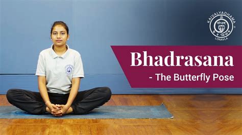 Bhadrasana The Butterfly Pose Kaivalyadhama Yoga Institute Youtube
